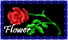 Flower 2-Rose from Edgar in KQ4
